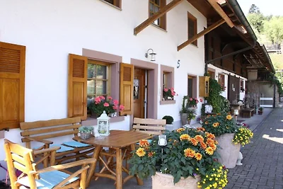Boerderij in Steinach met zwembad