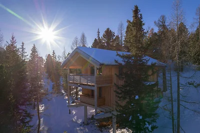 Luxe chalet met binnensauna