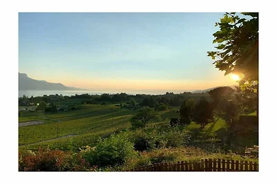 La Vigneronne, Giardino