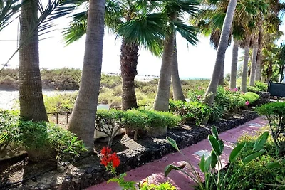Wohnung in Costa Calma mit Schwimmbecken