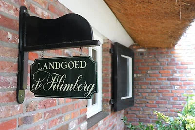 Villa in Ommen mit privatem Teich