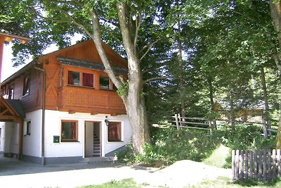 Chalet in Mariapfarr nahe Skigebiet