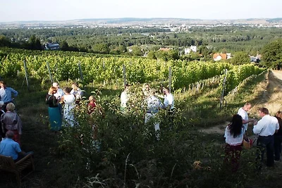 2 Weingut Hauerhof 99