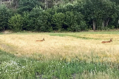 6 Personen Ferienhaus in HUNNEBOSTRAND