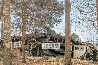 4 Personen Ferienhaus in Frederiksværk-By...