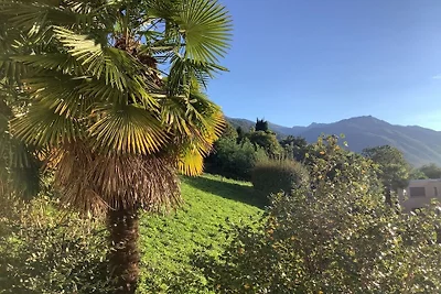 Condominio Andromeda Locarno Monti