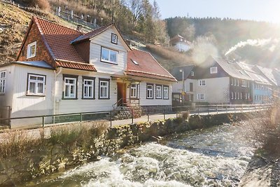 Verlockendes Ferienhaus in Wildemann mit priv...