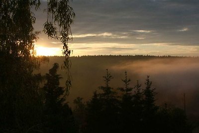 Fuchs und Has - Gut´Nacht