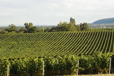 Traminer apartment