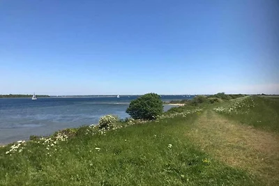 Schuurverblijf met Ziel in Noordgouwe
