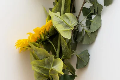 Appartement in Porto met groot terras