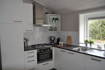 Geräumiges Ferienhaus in Friesland am Wald