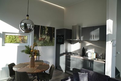 Tiny house met een sfeerhaard nabij de Veluwe