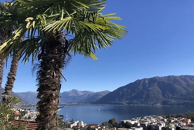 Condominio Andromeda Locarno Monti