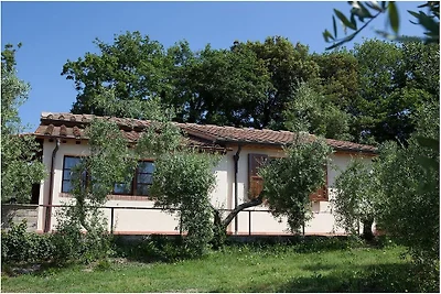 Villa in Riparbella met zwembad