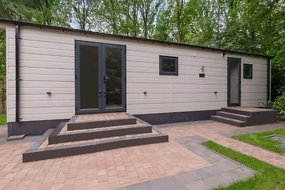 Schönes Chalet in Drenthe mit...