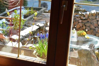 Ferienwohnung mit 1 Schlafzimmer