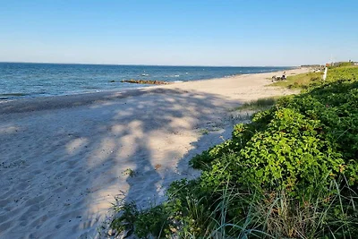 8 Personen Ferienhaus in Otterup-By Traum