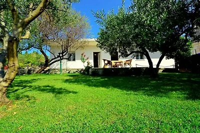 Coastal Breeze House - House
