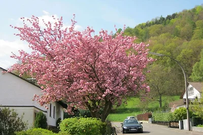 Im Haus Spessartblick