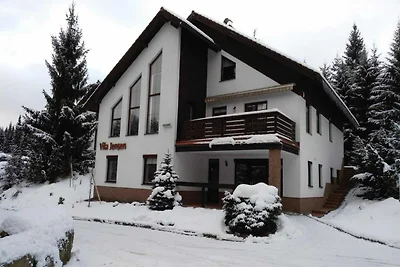 Wohnung in Harrachov mit Grill