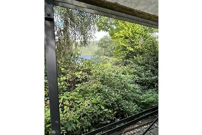 Noah -Seeleben auf Zeit