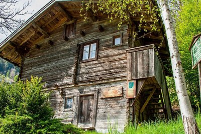 Wohnung in Hainzenberg in einem Skigebiet