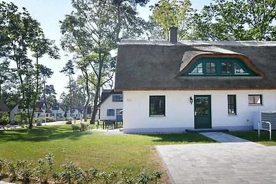 Sandregenpfeifer