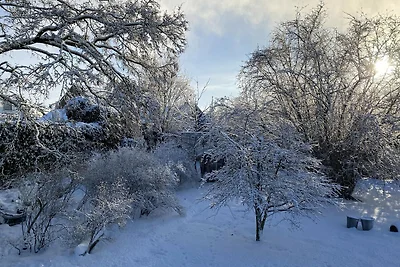 Bauernhaus in Nieuwleusen am See und Natur