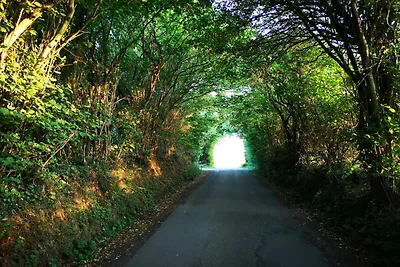 5 Personen Ferienhaus in Hejls-By Traum