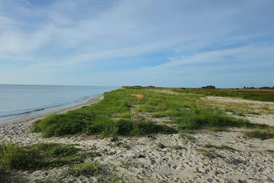 9 Personen Ferienhaus in Sæby