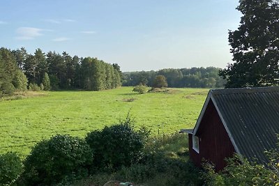 4 Persone case ad Ånimskog