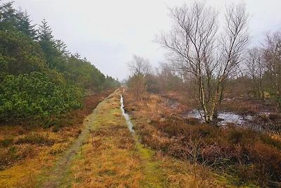 4 Personen Ferienhaus in Nørre Nebel