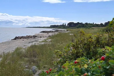 8 persoons vakantie huis in Sæby-By Traum