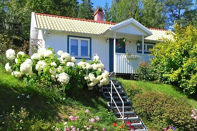 3 Personen Ferienhaus in HENÅN