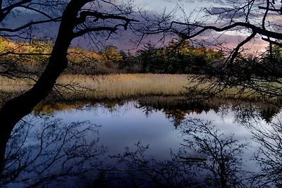 10 Personen Ferienhaus in Ålbæk-By Traum