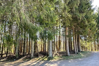 4 Personen Ferienhaus in Kvidinge