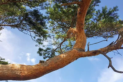 Luxe zwembad retraite Udsholt -- By Traum...