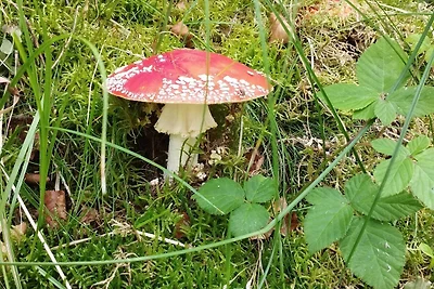 Geraumiges Refugium mit Whirlpool -- By Traum...