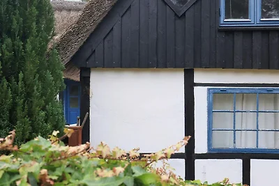 6 Personen Ferienhaus in Læsø-By Traum