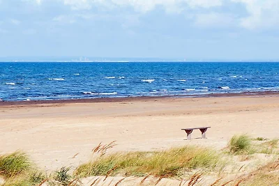 5 stelle case ad Skummeslövsstrand