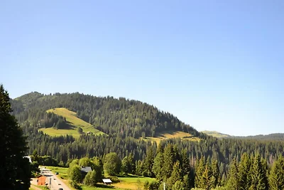 Wohnung in Alpen nahe Boulangère Lift