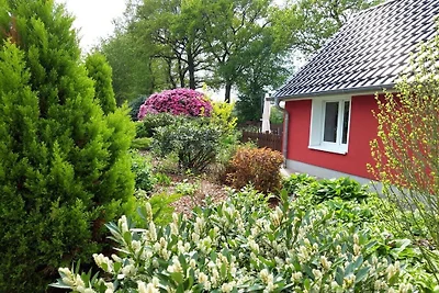 Vakantiehuis Ontspannende vakantie Wiefelstede