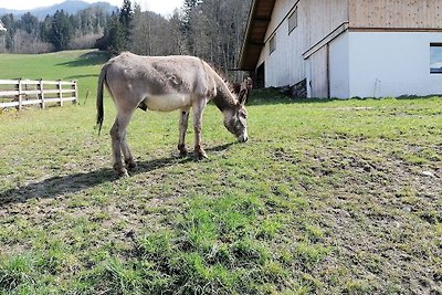 Ferienhaus am Bio-Bauernhof