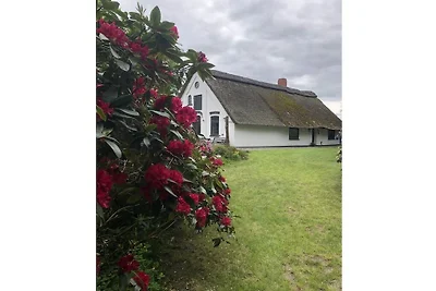 Ferienhaus mit 2 Schlafzimmer