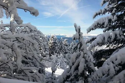 Gemütliches Alpenchalet für zwei