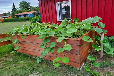 Einladende Ferienwohnung in der Oase am...