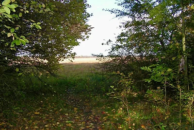 6 persone case ad Taastrup-By Traum