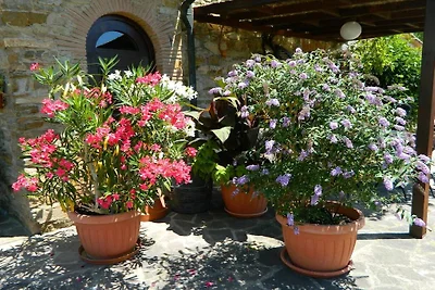 Appartamento in Toscana con 1 camera da letto