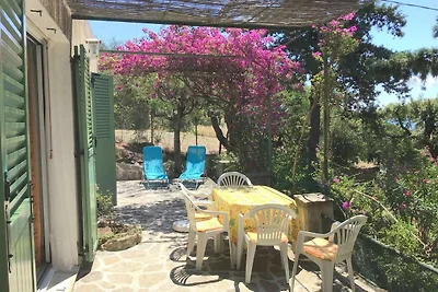 Gemütliches Ferienhaus mit Meerblick